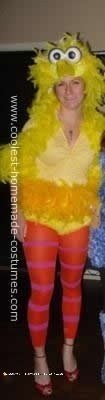 Homemade DIY Big Bird Halloween Costume