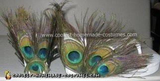 DIY Peacock Halloween Costume