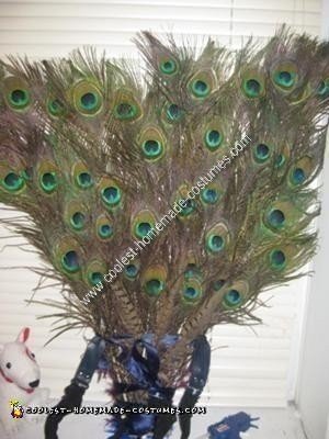 DIY Peacock Halloween Costume Idea