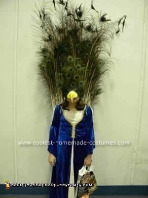 Homemade Do it Yourself Peacock Halloween Costume