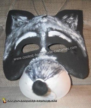 Do it Yourself Raccoon Halloween Costume