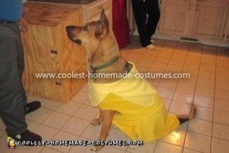 Homemade Dog Banana Costume