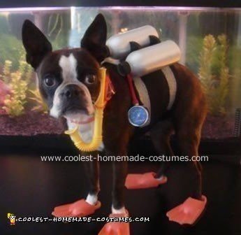 Coolest Scuba Dog Costume - Dog Halloween Costume Ideas