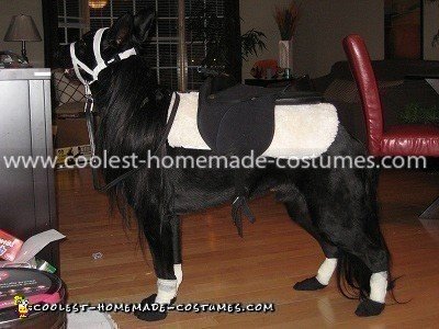 Homemade Dog Pony Costume