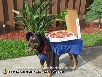 Homemade Dominos Deliver Dog Costume