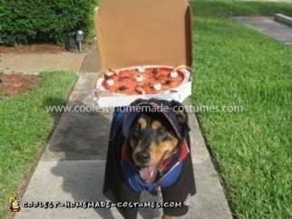 Homemade Dominos Deliver Dog Costume