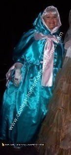 Homemade Fairy Godmother from Cinderella Costume