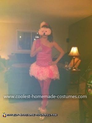 Homemade Flamingo Costume