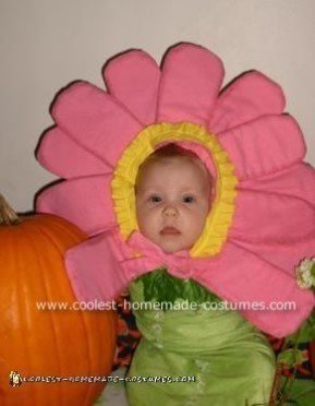 30+ Coolest DIY Flower Pot and Flower Costumes