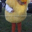 Homemade Girl's Chickadee Costume