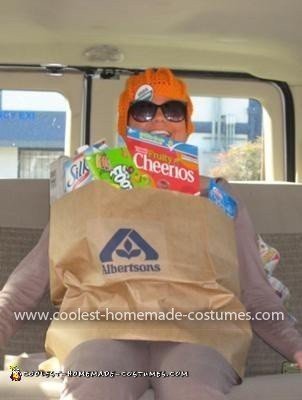 Coolest Grocery Bag Costume 4