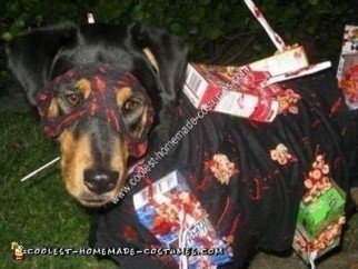 Handmade Cereal Killer Dog Costume Idea