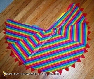 Handmade Rainbow Bird Costume