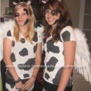 holy cow! it's two holy cows!!