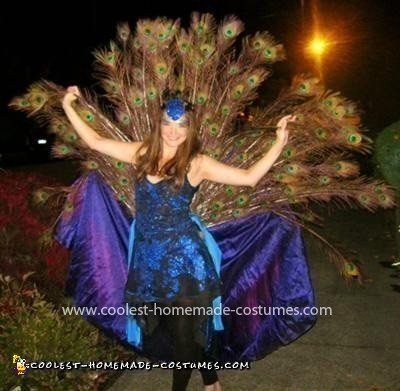 Homemade Peacock Costume