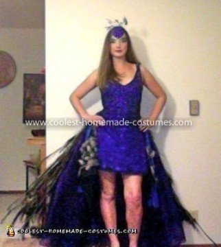 Homemade Peacock Costume