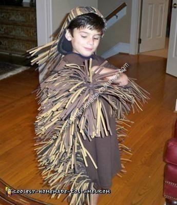 Home Made Porcupine Costume