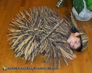 Home Made Porcupine Costume