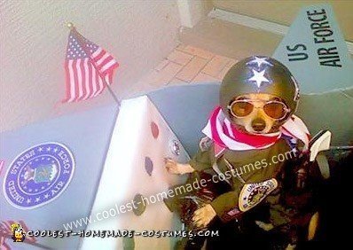 Homemade Air Force Fighter Pilot in Plane Dog Costume