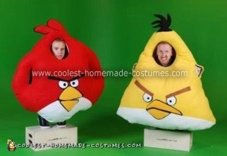 Homemade Angry Birds Costume