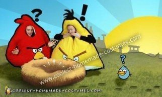 Homemade Angry Birds Costume