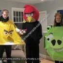 Homemade Angry Birds Halloween Group Costume