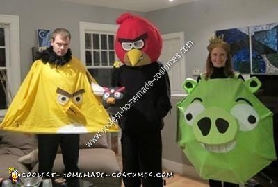 angry birds halloween costume