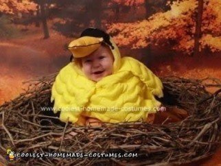 Homemade Baby Bird Costume