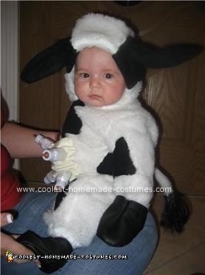 Homemade Baby Cow Costume