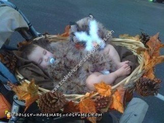 Homemade Baby Owl in a Nest Unique Halloween Costume Idea