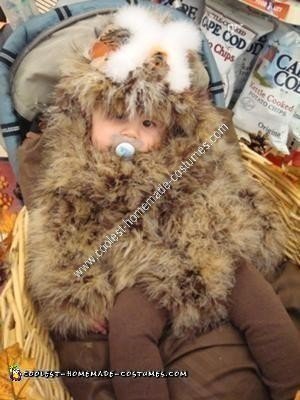 Homemade Baby Owl in a Nest Unique Halloween Costume Idea