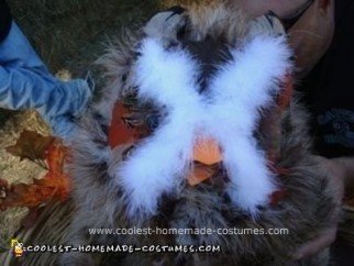 Homemade Baby Owl in a Nest Unique Halloween Costume Idea