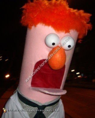 Homemade Beaker Halloween Costume Idea