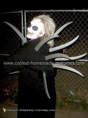 Homemade Beetlejuice Adult Costume