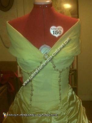 Homemade Belle Costume from Beauty and the Beast