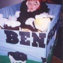 Homemade Ben and Jerry's Banana Split Wheelchair Costume