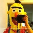 Homemade Bert Unique Halloween Costume Idea