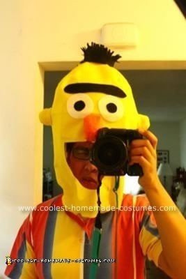 Homemade Bert Unique Halloween Costume Idea