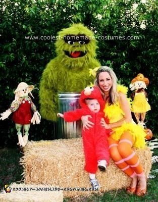 Homemade Homemade Big Bird and Oscar the Grouch Couple Halloween Costume Ideas