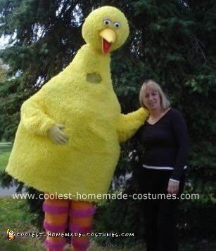 Homemade Big Bird Costume