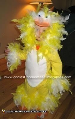 Homemade Bird Costume