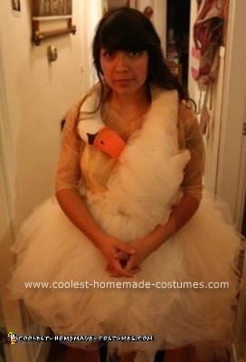 Homemade Bjork Costume