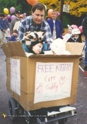 Homemade Box of Free Kittens Wheelchair Costume