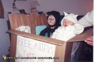 Homemade Box of Free Kittens Wheelchair Costume