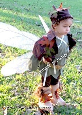 Homemade Boy Fairy Costume