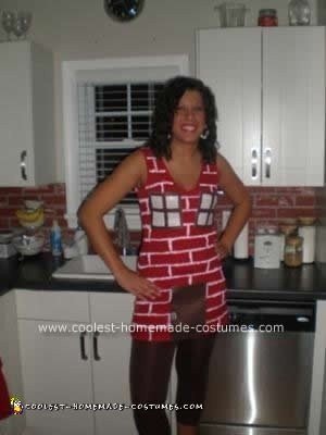 Homemade Brick House Costume