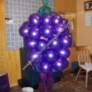 Homemade Bunch of Grapes Costume Idea