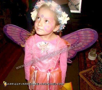 Homemade Butterfly Fairy Princess Costume