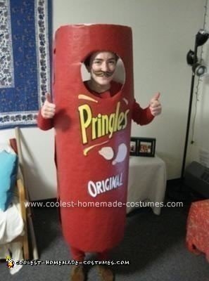 Homemade Can of Pringles Costume