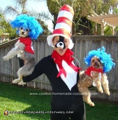 Homemade Cat in the Hat Costumes
